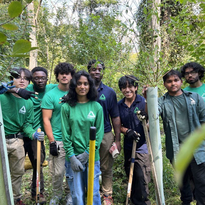 2024-09-14 Invasive Removal at Chauncey with Green Team IMG_1618